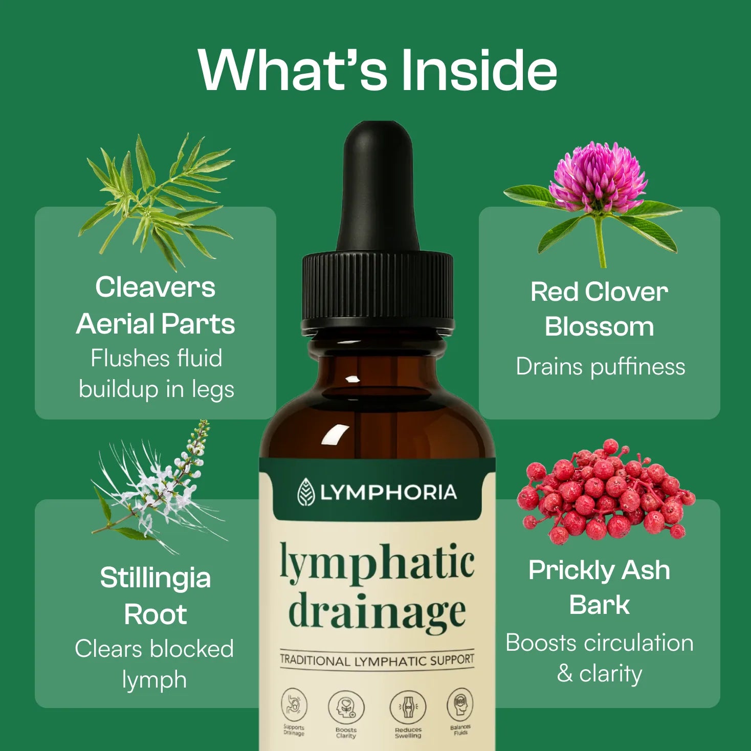 Gouttes de bien-être Lymphodrops