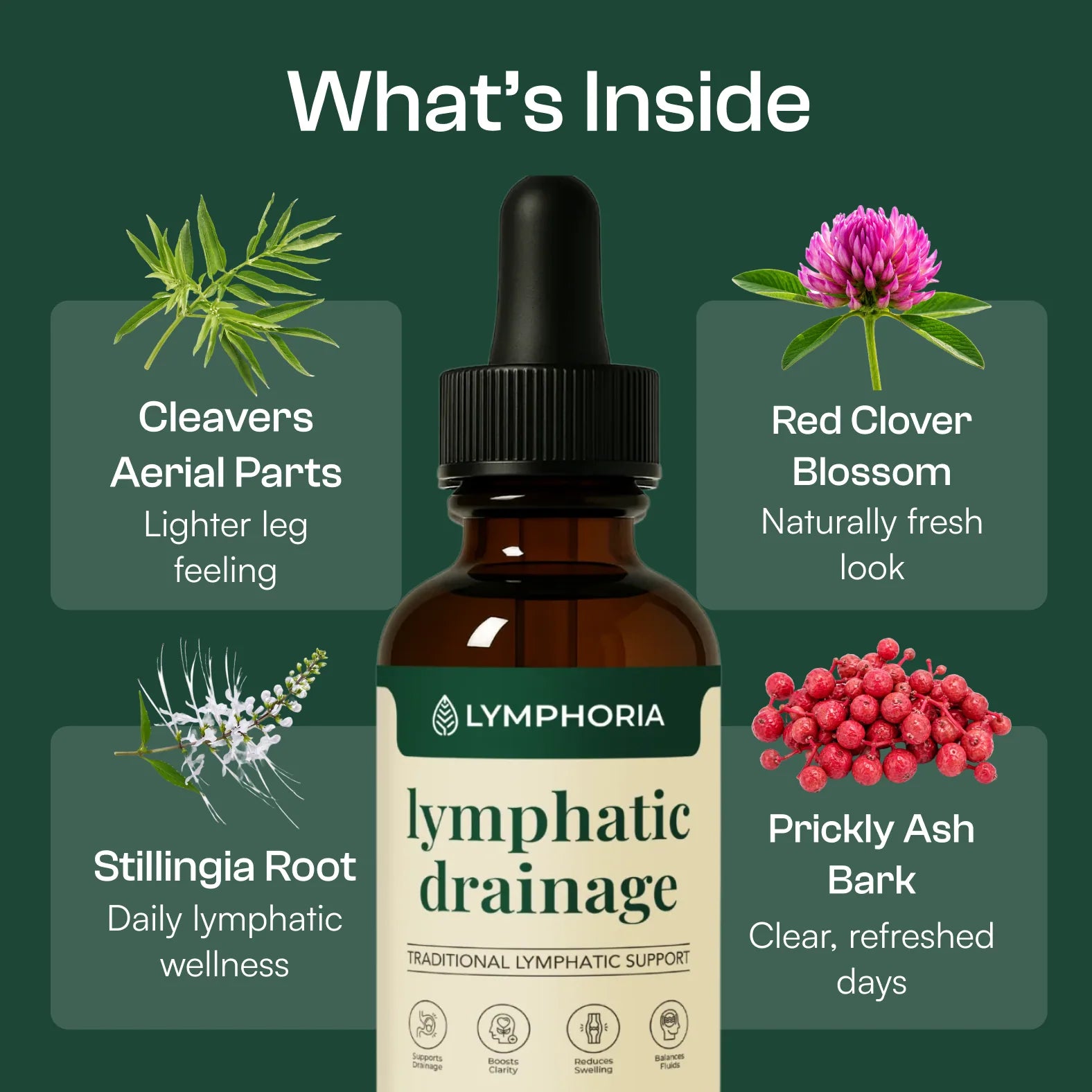 Gouttes de bien-être Lymphodrops
